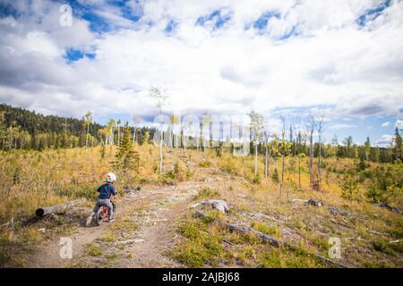 Toddler boy biking on dirt road through open forest. Stock Photo