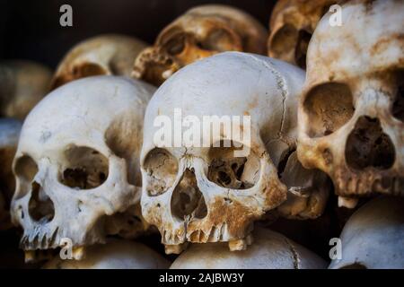 Human skulls of victims of the Khmer Rouge stacked at the Killing Fields of Choeung Ek memorial in Phnom Penh, Cambodia. Stock Photo