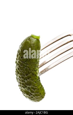 Pickled  cucumber sticking on a fork isolated on white Stock Photo