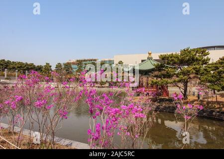 Yongsan, Seoul, South Korea March 30th, 2018 : National Museum behind flowers, and a pavillion by a pond at Seoul on a spring day. Stock Photo