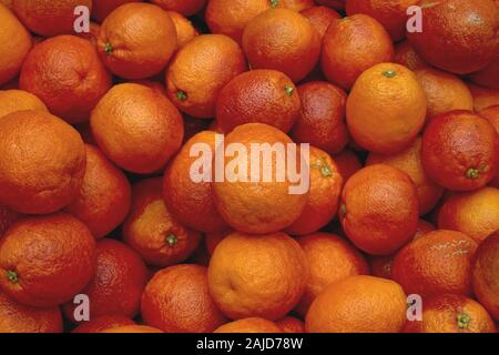 Red Sicilian fresh and juicy bloody oranges Stock Photo