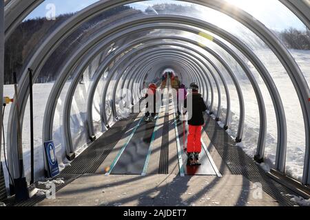 Skiers on a covered magic carpet on the learner's slope aka Bunny slope at Mont-Orford Ski Resort. Mont-Orford National Park.Orford.Quebec.Canada Stock Photo