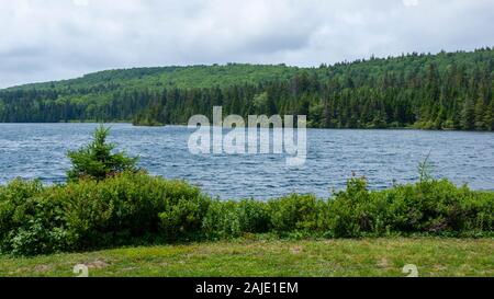 Wolfe Lake, Fundy National Park, New Brunswick, Canada. Surface waves on a windy day. Tall fir and spruce trees in background. Stock Photo