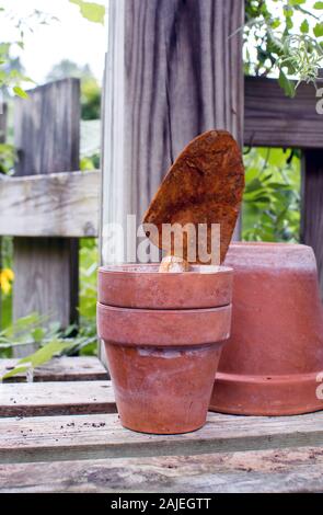 Clay pots rest on a wooden bench in a potting shed, with a rusty hand shovel ready to plant new growth Stock Photo