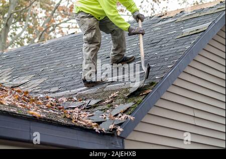 A worker on a rooftop uses a special tool to strip old shingles from a home's roof Stock Photo