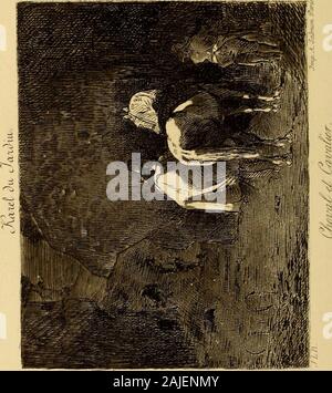 la jeune fille a genoux de profil etude par leon bonnat vers 1864 stock photo alamy