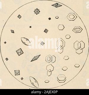 Manual of pathology : including bacteriology, the technic of postmortems, and methods of pathologic research . Fig. 487.a. Crystals of cystin. *. Crystals of o.xalate of Lme. c. Hour-glass forms of b. MICkOSCOlIC EXAMINATIOM OF rUINK. 945 Stock Photo
