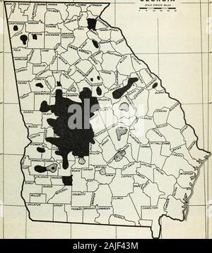 Controlling the curculio, brown-rot, and scab in the peach belt of Georgia . der way in sections of the State where peaches havenever been grown commercially before (fig. 1). LOSSES FROM THE CURCULIO AND BROWN-ROT. The year 1920 will long be remembered by the Georgia grower asthe wormy-peach year. The losses to individual growers weretremendous, and an exceedingly low estimate of the damage by thecurculio to the 1920 Georgia peach crop as a whole is placed at$2,000,000. According to the Bureau of Markets and Crop Estimatesof the United States Department of Agriculture, only 5,663 carloadsof pe Stock Photo