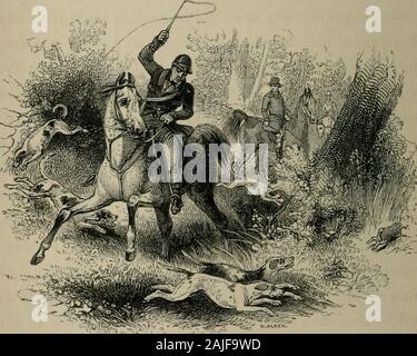 Sporting scenes and country characters . THE HUNTSMAN, l^p^>^^^^: O ...