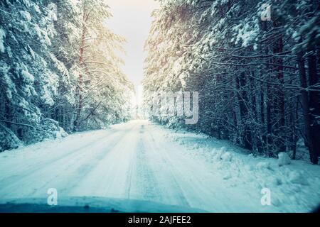 The road in the forest is covered with snow. Winter nature background Snowy forest. Pine trees covered in snow. Winter nature Christmas background