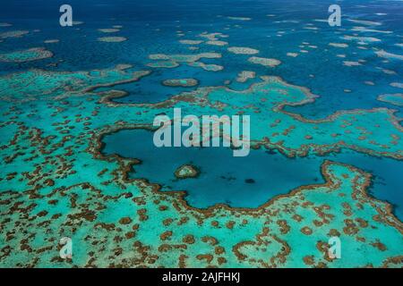 Famous Heart Reef nestled in Hardy Reef, part of the Great Barrier Reef. Stock Photo