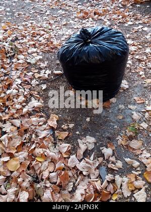 Fallen autumn leaves gathered in biodegradable plastic bags. Black plastic garbage bags in the park, autumn cleaning. Stock Photo