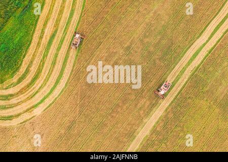 Aerial View Of Rural Landscape. Two Combines Harvesters Working In Field, Collects Seeds. Harvesting Of Wheat In Late Summer. Agricultural Machine Col Stock Photo