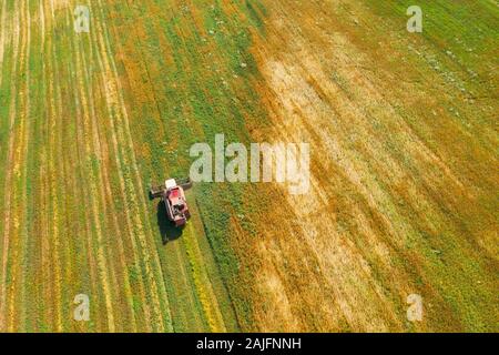 Aerial View Of Rural Landscape. Combine Harvester Working In Field, Collects Seeds. Harvesting Of Wheat In Late Summer. Agricultural Machine Collectin Stock Photo