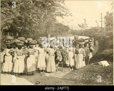 Panama and the canal in picture and prose .. . WOMEN AS BURDEN BEARERS 17. WOMEN ON THE WAY TO MARKET The woman or the donkey furnishes transportation characteristically English about Kingston. Thehouses of the better class of people, however fragilein construction, stand somewhat back from thestreet, guarded by ponderous brick walls in orderthat the theory every Englishmans house is hiscastle may be literally maintained. , And eachhouse has its name painted conspicuously on its gateposts. The names are emphatically English andtheir grandeur bears no apparent relation to thesize of the edifice Stock Photo