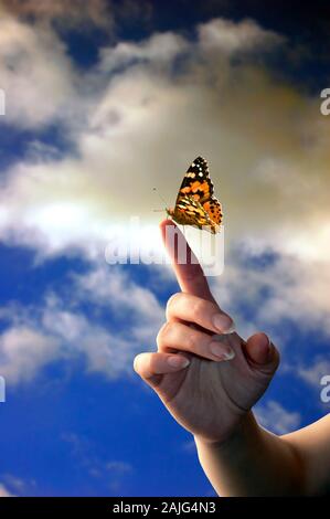 female hand with a monarch butterfly resting on the finger Stock Photo