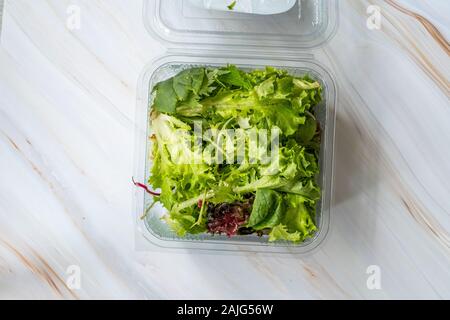 Disposable Salad Containers  Salad Take Out Boxes EcoFriendly