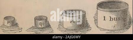 The first lessons in numbers : an illustrated table book, designed for elementary instruction . Ery Measure. Dry measure is used in measuring vegetablesand articles not fluid. LESSON LXXXV.(See Manual, Sec. I., Exercise VII.) 2 pints (pt.) make 1 quart. qt.8 quarts make 1 peek. pk.4 pecks make 1 bushel. bu.. » Stock Photo