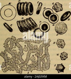Anatomy Physiology And Hygiene And The Organs Through Which It Is Pro Pelled Are The Organs Of Circulation These Organs Are Theheart And The Blood Vessels The Latter Consisting Of Thearteries Capillaries And