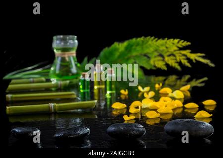 Beautiful spa composition with zen basalt stones and bamboo essential oil plants and flowers on black background Stock Photo