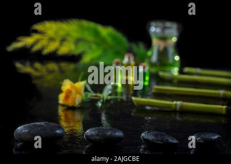 Beautiful spa composition with zen basalt stones and bamboo essential oil plants and flowers on black background Stock Photo