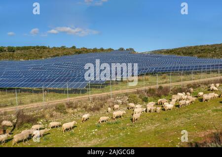 Solar panel park. energy, ecology,save the planette Stock Photo