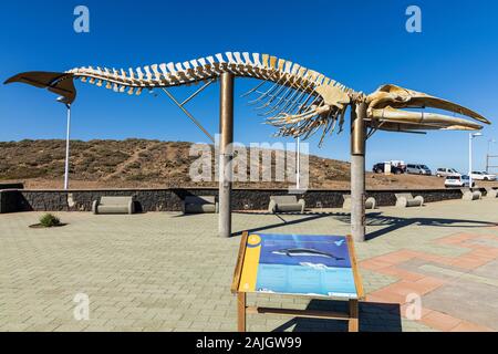 Giant Sei whale skeleton on pedestals at the Playa de Sobora, Los Silos, Tenerife, Canary Islands, Spain Stock Photo