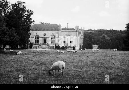 Lacock Abbey, Wiltshire, England, UK: main entrance with sheep grazing in foreground,   Old black and white film photograph, circa 1990 Stock Photo