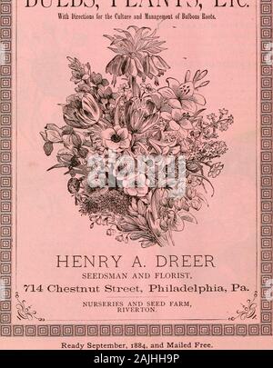 Dreer's garden calendar : 1884 . 1554. DREERS 1885. Descriptive Catalogue BULBS, PLANTS, Etc With DirectioDS for the Culture and Management of Bulbous Roots.. Brief Directions for Cultivation which are of value to all interested in the Culture ofBulbs and Winter Blooming Plants. DREERS GARDEN CALENDAR. 97 TJe pian^ DeparftoBiii IT is the purpose of this department lo send out only such stock as will meet with perfectfavor, and shall excel in size, quality and novelty previous introductions. The supplementcontains novelties offered for the first time, and new and rare plants of merit deserving Stock Photo