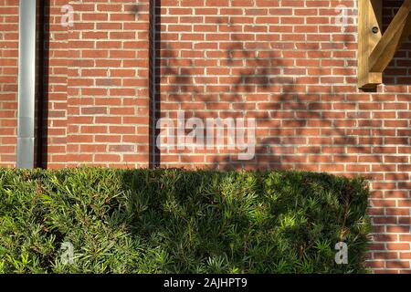 red brick wall building shadows Stock Photo