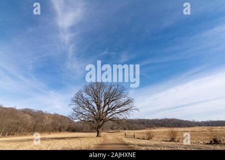Dirt road through the Midwest countryside.  Bureau County, Illinois, USA Stock Photo