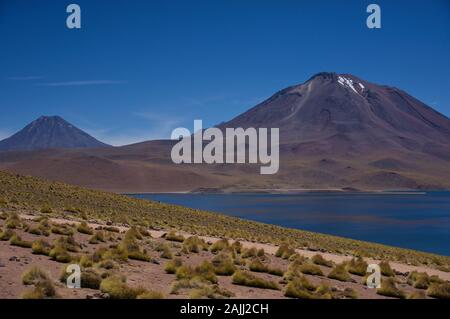 Miscanti Lake with volcanoes Stock Photo