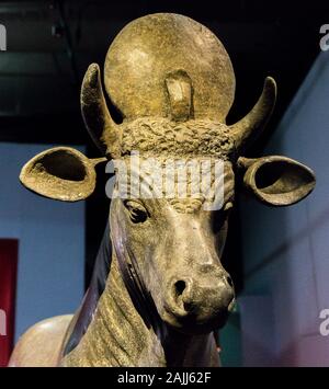 Photo taken during the opening visit of the exhibition “Osiris, Egypt's Sunken Mysteries”. Statue of the Apis bull. Stock Photo