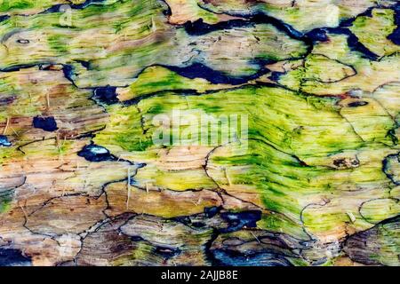 Close up abstract image of the patterns of decay in an old log. Stock Photo