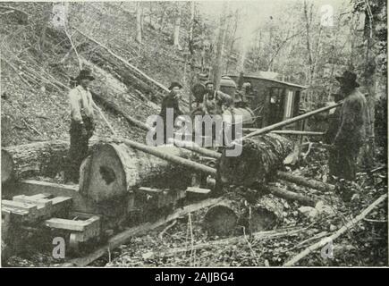 Logging; the principles and general methods of operation in the United States . ardwoods are abundant forrails, where the operation is remote and the cost of transportingsteel rails is excessive, where the length of haul is comparativelyshort and where the daily output is limited. Such conditionsexist in the hardwood region of the Appalachians where this tjpeof road is common. The disadvantages of a stringer road as compared with steelrailroads are that the rails become soft and wear out rapidly inrainy and wet weather; wheel flanges climb wooden rails morereadily than steel; the cost of repai Stock Photo