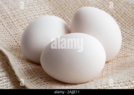 Three whole white eggs lying on hessian. Stock Photo