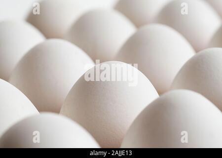 Background of white chicken eggs in a tray. Stock Photo