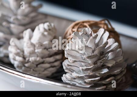 white pine cone Stock Photo