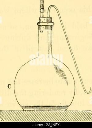 Studies on fermentation : the diseases of beer, their causes, and the means of preventing them . oy any germs adhering to the sides. When cold the liquidis impregnated by means of a trace of pure yeast, introducedthrough the glass-stoppered tube. If these precautions areneglected it is scarcely possible to secure a successful fermenta-tion in our flasks, because the yeast sown is immediately held incheck by a development of anaerobian vibrios. For greatersecurity, we may add to the fermentable liquid, at the momentwhen it is prepared, a very small quantity of tartaric acid,which will prevent t Stock Photo