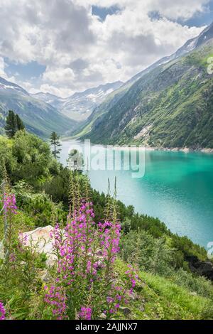 Turquoise colored lake in the Alps with purple flowers in the foreground Stock Photo