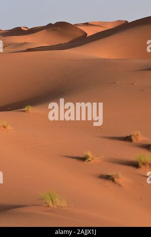 Sunrise Erg Chebbi Merzouga, Sahara desert, Morocco, north Africa Stock ...