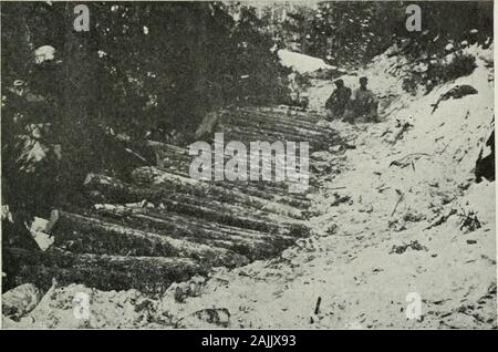 Logging; the principles and general methods of operation in the United States . is cut into saw logs whichmay be left at one side of the road, or skidded to the nearestskidway site. Depressions are filled with rotten logs and soundnon-merchantable species. The latter are also used for corduroy,bridge construction and skids. Large stumps are grubbed, sawedlevel with the ground or blasted out; boulders are removed; andcuts are made to reduce heay grades. Two-sled roads oftenpresent a rough appearance before snow falls, because of theuneven nature of the roadbed, but the first heavy snow fills t Stock Photo