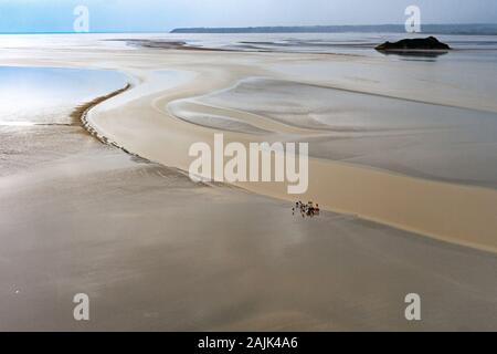 Tourists walk in the mud flats near Mont Saint-Michel at low tide. Normandy, France Stock Photo