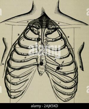 The physical signs of cardiac disease, for the use of clinical students . ^ Landmarks now require careful consideration.Numerous observers have made painstaking investigations intothis subject; and it would seem to result from their laboursthat there are variations from the usual position in manyindividuals, allowance for which has to be made. The position?of the apex and chambers of the heart has already been brieflyindicated. It remains for us to determine on the Surface, thepoints corresponding respectively to the position of the differentvalvular orifices, as far as in us lies, although, f Stock Photo