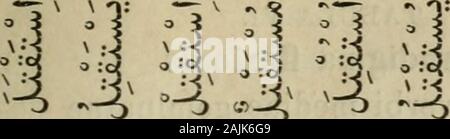 Arabic Grammar Paradigms Literature Exercises And Glossary B T R I 2 Ij T J T I 3 Masc Plur J5 U 3