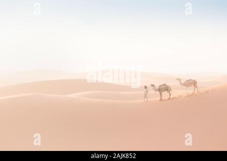 Bedouin and camels on way through sandy desert. Nomad leads a camel caravan in the Sahara during a sand storm, Morocco, Africa  Silhouette man Stock Photo