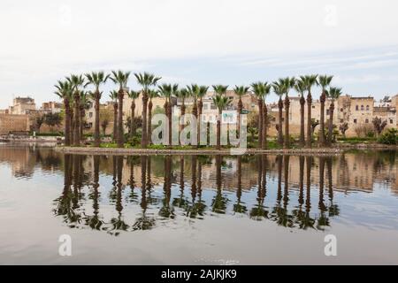 Island with palms reflecting in the water. Part of Jnan Sbil – famous gardens in Fes (Fez), Morocco Stock Photo