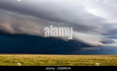Dramatic shelf cloud leads an approaching severe thunderstorm over the rolling grasslands of southeastern Colorado Stock Photo