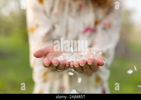 A close-up of a girl palm blows off a handful of white petals that fell from a flowering tree. Attractive young girl with flowers Stock Photo