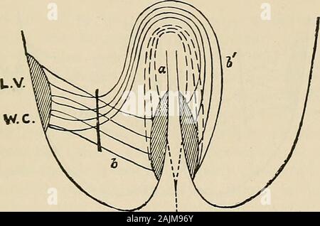 A system of medicine, by many writers; . to the explanation of some of ...
